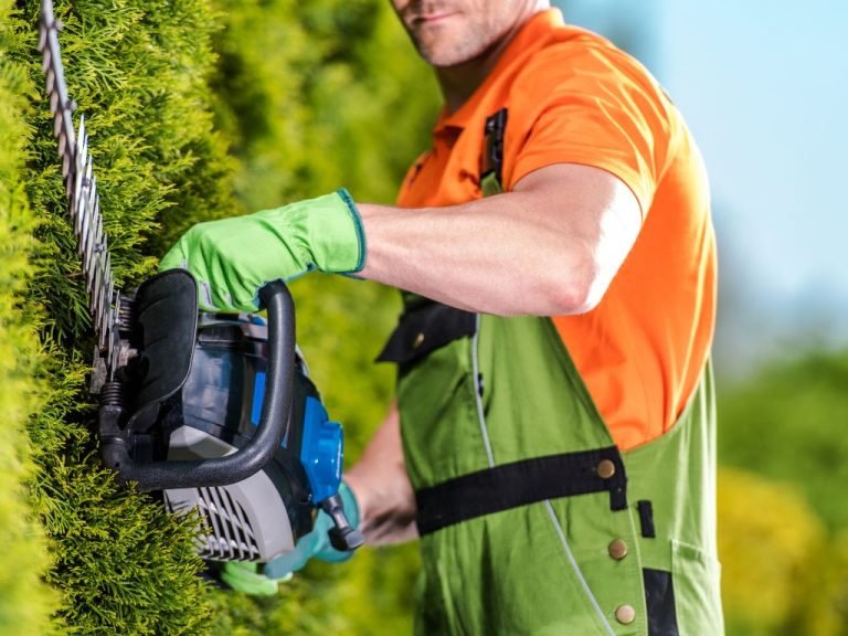 Instinct JardinTaille de Haie & Entretien Arbres Rouen & Agglo — free download